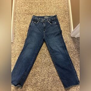 Torrid Dark Blue Straight Leg Jeans